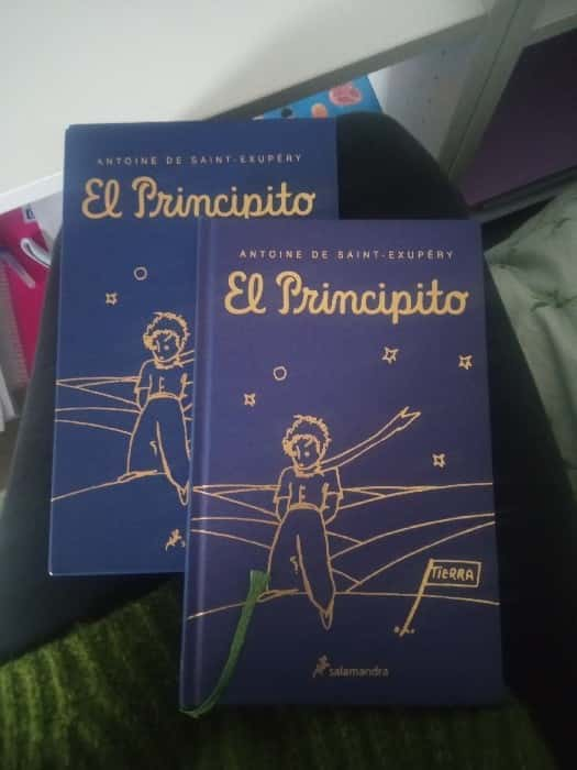 el principito – «El secreto que el Príncipe nunca le dijo… La verdadera historia detrás del clásico de Antoine de Saint-Exupéry»