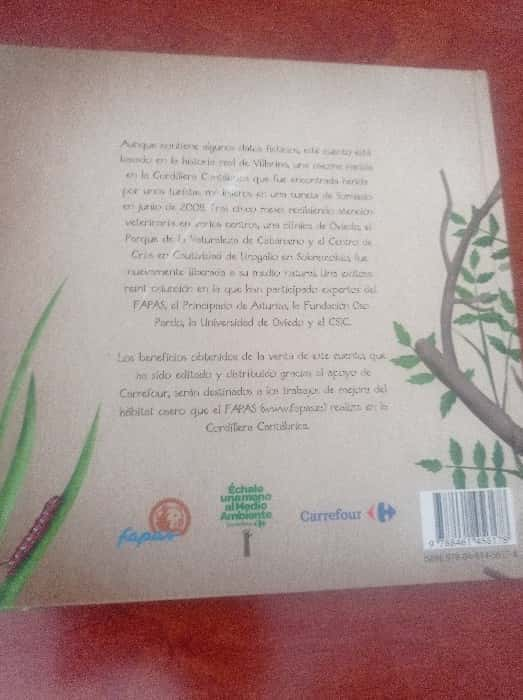 El retorno de Villarina – «¡Descubre el misterio que ha estado esperando en las sombras! ‘El Retorno de Villarina’ por FAPAS: Un viaje emocional y aterrador que te dejará sin aliento»