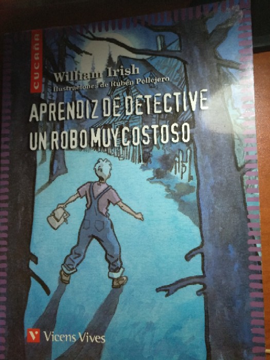 Aprendiz de detective / Un robo muy costoso