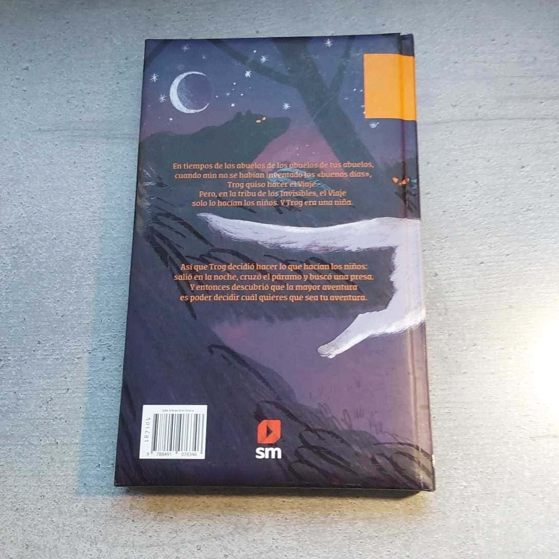 Imagen 2 del libro La niña invisible