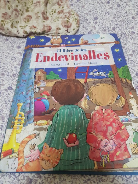 El llibre de les endevinalles