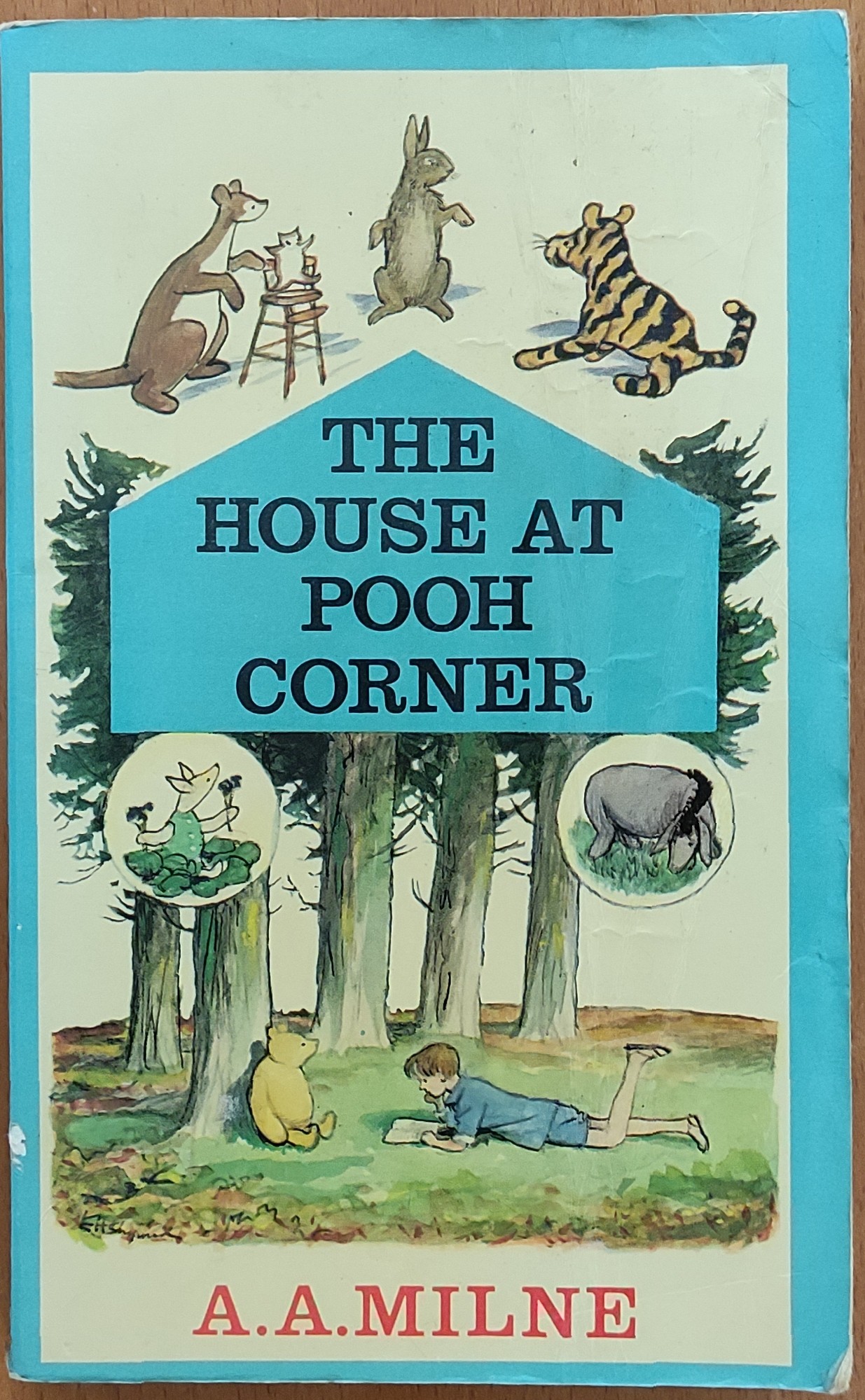 The House at Pooh Corner