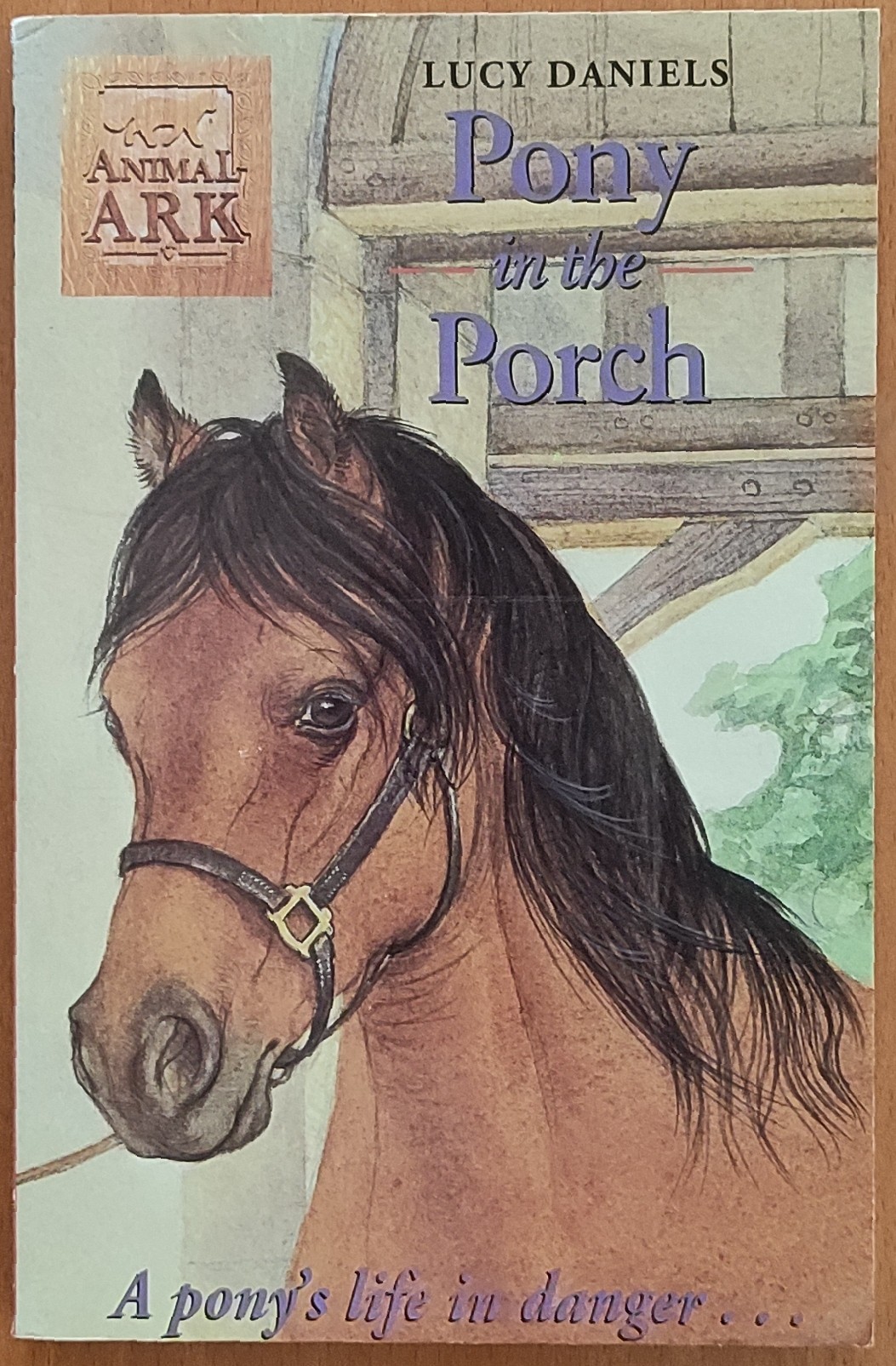 Pony in the Porch