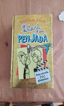 Descubre la emoción de leer ‘Diari duna penjada’ de Rache Renée Russell