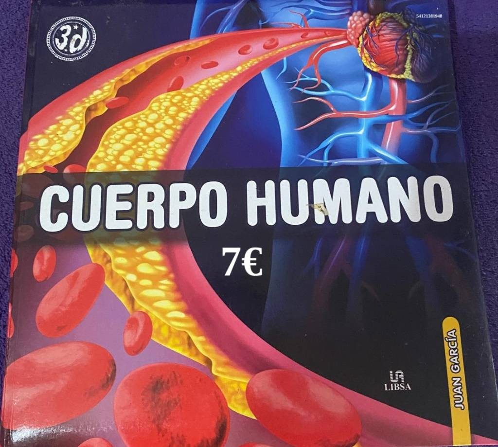 Cuerpo Humano Cuerpo Humano