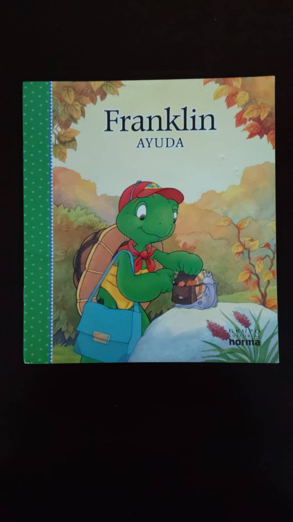 Franklin y su ayuda: Una guía valiente para adultos y niños
