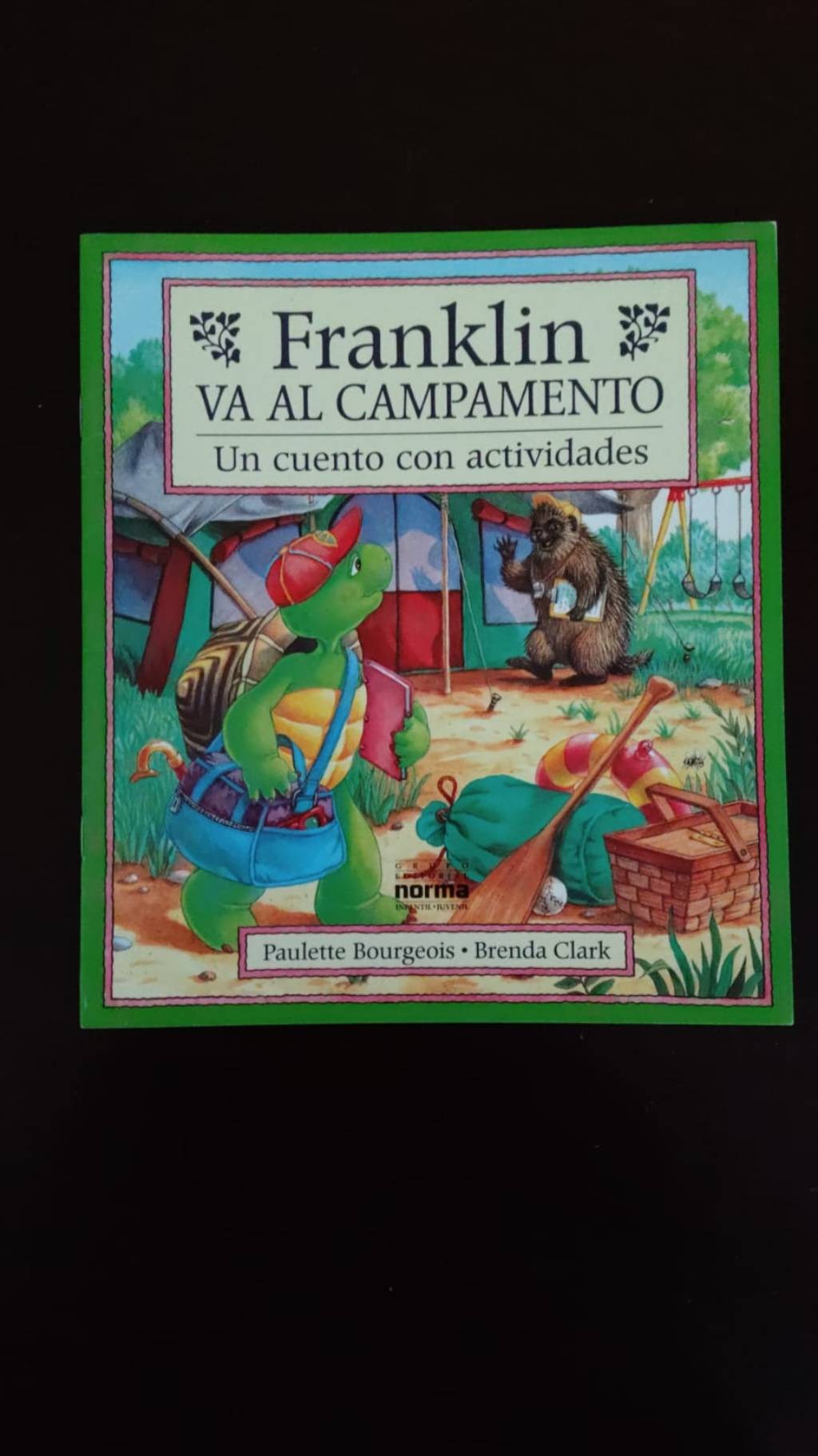 Descubre la aventura que cambió la vida de Franklin en ‘El campamento del autor Jane B. Mason’: una historia de amistad y valentía para todos los lectores