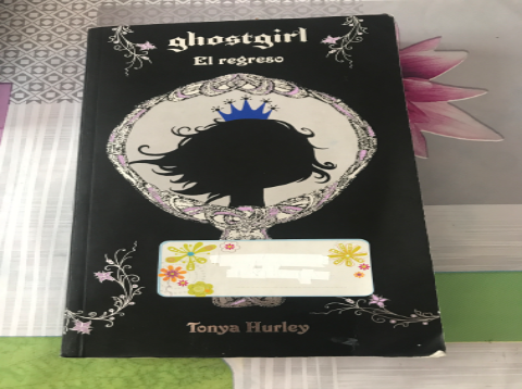 Ghostgirl: El regreso. – «Descubre el misterio: ¡La Vengadora del Pecado es de regreso! – ‘Ghostgirl: El Regreso’ por Tonya Hurley (ISBN 9788420405230)»