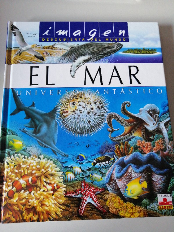 El mar