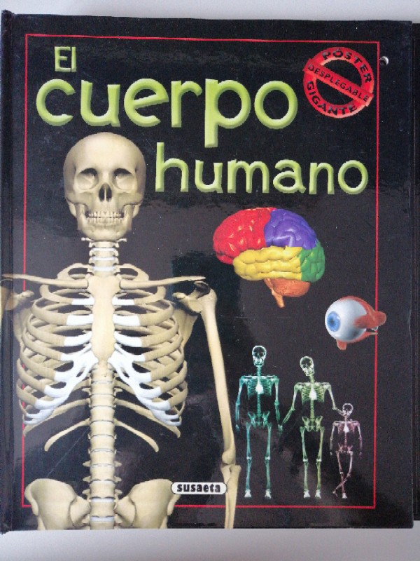 El cuerpo humano