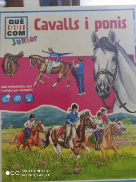 Cavalls i Ponis 