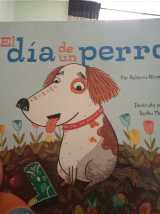 El día de un perro