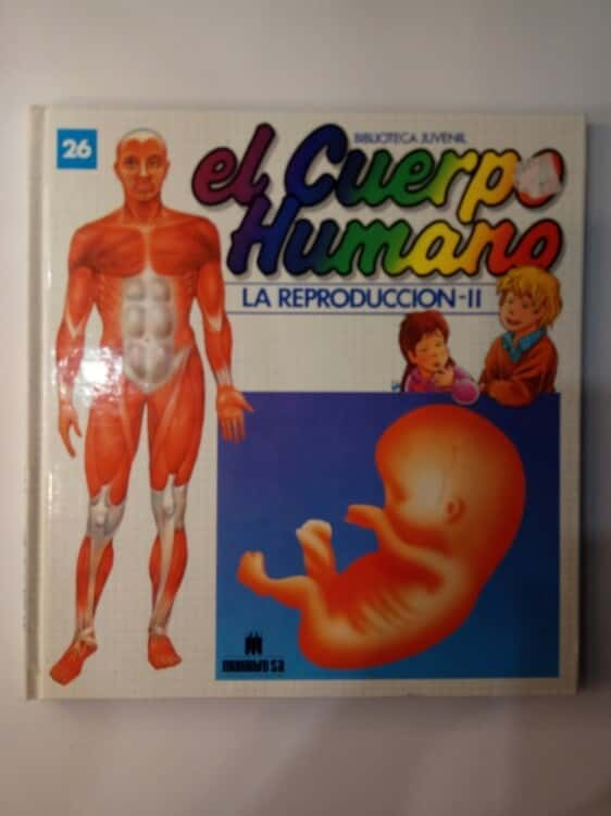 el cuerpo humano la reproducción