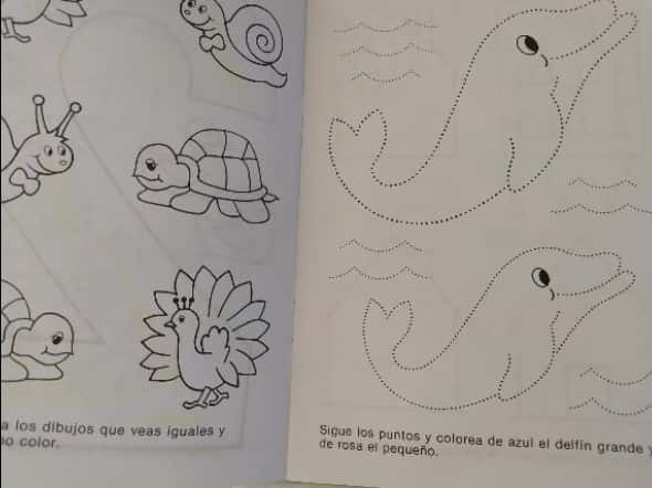 Cuaderno rubio el arte de aprender  – «Descubre el Secreto para Aprender Cualquier Coso: La Transformación de Cuaderno Rubio»