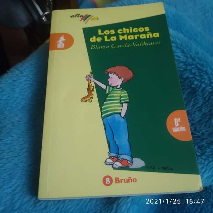 Los chicos de La Maraña – «¡Descubre el Secreto Más Oscuro de la Ciudad! ‘Los Chicos de La Maraña’ te dejarán sin aliento»