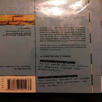 Rastro de Dios y otros cuentos /Trace of God and other Stories – «Un viaje infinito por la esencia de Dios: una recorrida poética y profunda en las historias del autor mexicano Montserrat Del Amo»