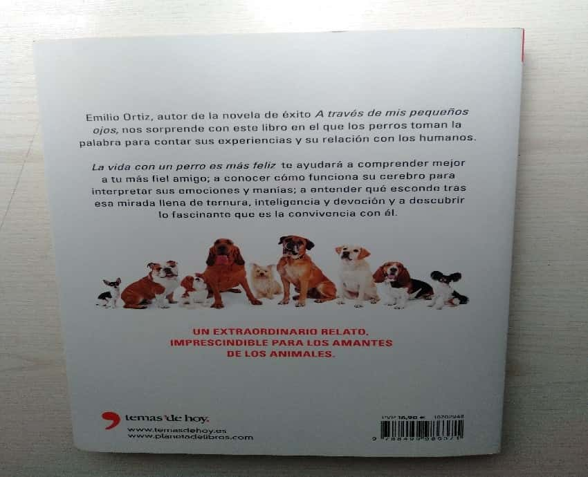 La vida con un perro es más feliz – «Descubre la secretos para una vida más feliz: ¿Un perro es lo que necesitas?»