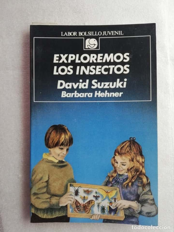 EXPLOREMOS LOS INSECTOS - SUZUKI, DAVID. HEHNER, BARBARA