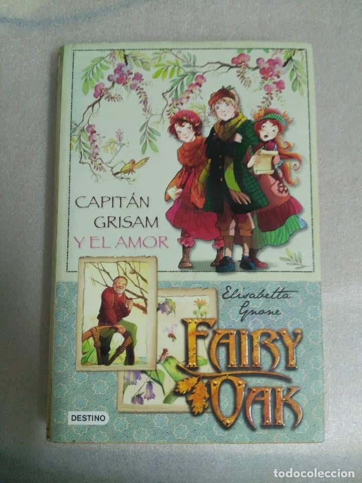 CAPITÁN GRISAM Y EL AMOR. FAIRY OAK. ELISABETTA GNONE