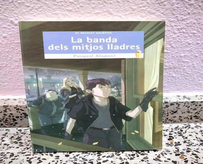 La banda dels mitjos lladres