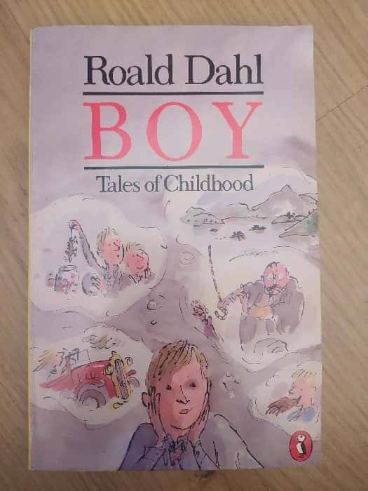 Boy – «La historia de Billy, el niño que cambió su destino para siempre: Una lectura inolvidable en «Boy» de Roald Dahl»