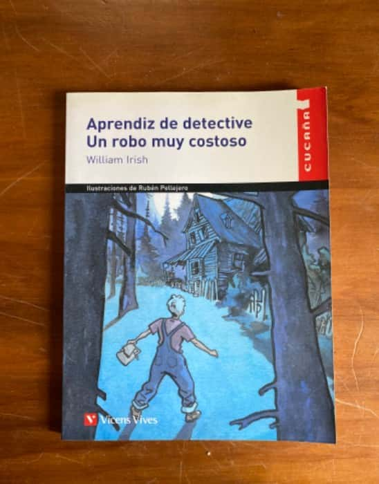 Aprendiz de detective Un robo muy costoso – «¡Descubre el misterio más codiciado del siglo: ‘Aprendiz de detective Un robo muy costoso’ de William Irish»