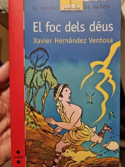 El foc dels Déus – «Descubre el misterio que ha robado el corazón de mil lectoras: ‘El foc dels Déus’, la historia que cambió todo»