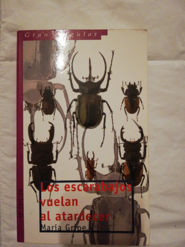 Los escarabajos vuelan al atardecer – «Vuelan, pero nadie escucha: ¿qué significa ser un escarabajo en el océano de la vida?»