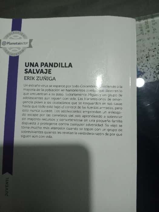 Una pandilla salvaje  – «Descubre el secreto más oscuro de una ciudad: ‘Una pandilla salvaje’ de Erik Zúñiga, un thriller que te dejará sin aliento».