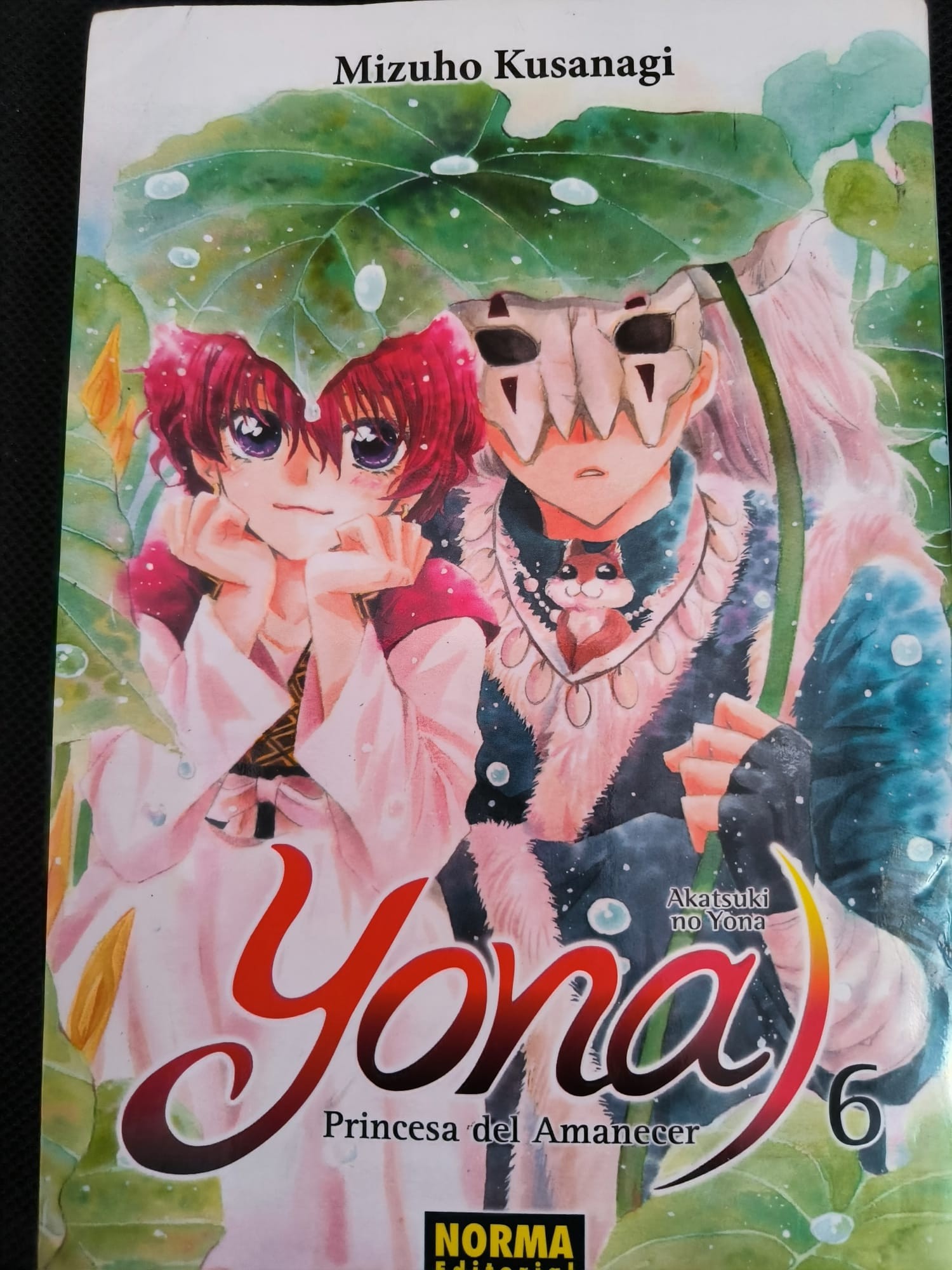 Yona la princesa del amanecer tomo numero 6 – «Descubre el secreto de Yona: El libro número 6 de Mizuho Kusanagi te sumerge en un mundo mágico y emocionante en ‘Yona la princesa del amanecer’, Tomo 6, ISBN 9788467931075»