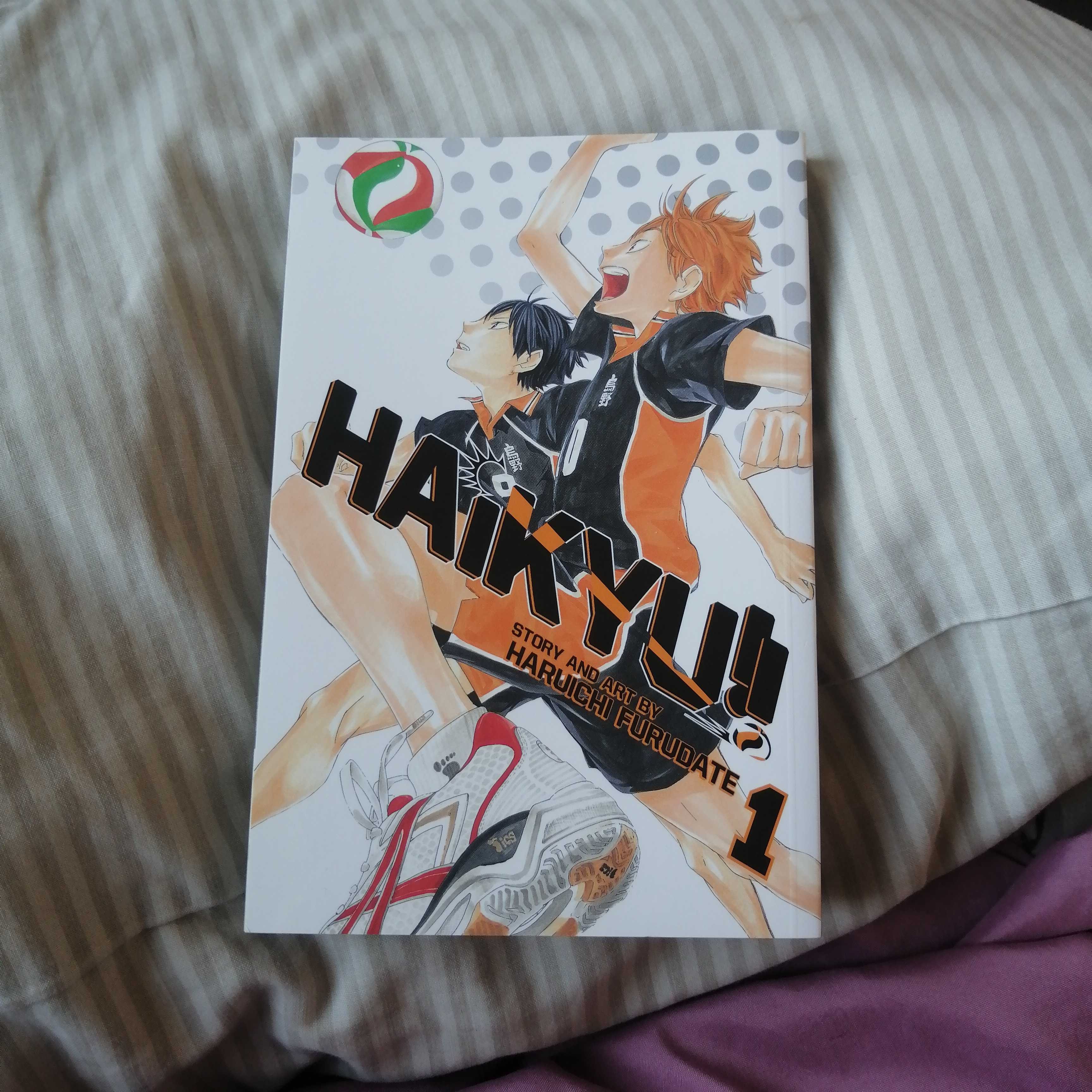 Haikyu!! – «¡Alza tu espalda: La pasión y el fútbol volador que cambiarán tu vida!»