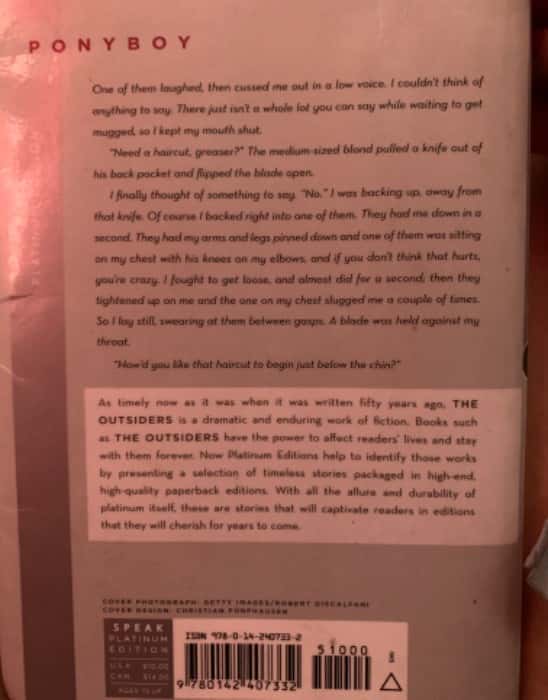 Imagen 2 del libro The outsiders
