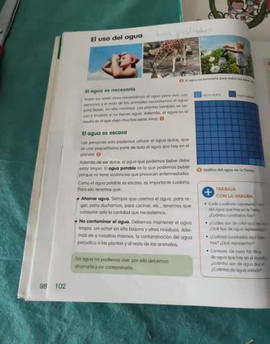 Imagen 3 del libro CONOCMIENTO DEL MEDIO MURCIA 3 PRIMARIA M LIGERA LOS CAMINOS DEL SABER