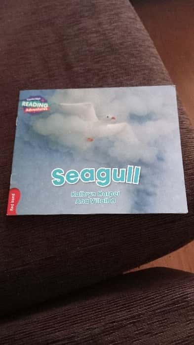 Libro de segunda mano: Seagull Red Band