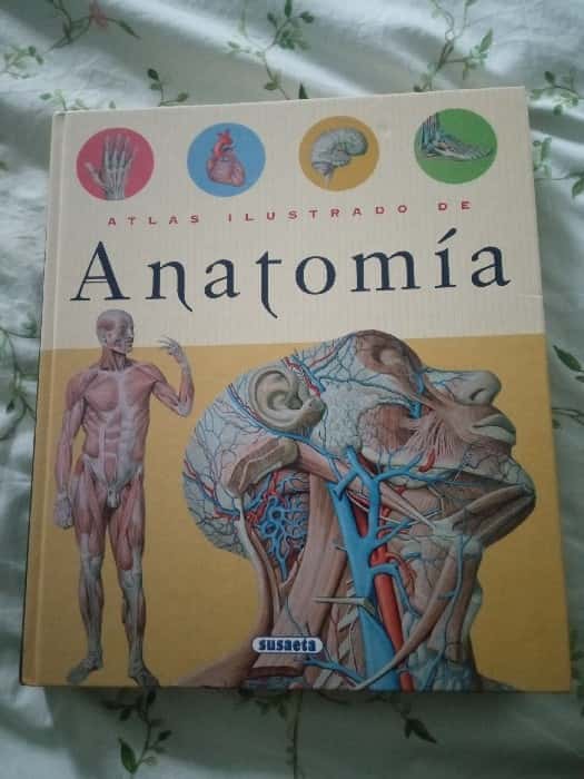 Libro de segunda mano: Atlas Ilustrado de Anatomia Anatomy Illustrated Atlas