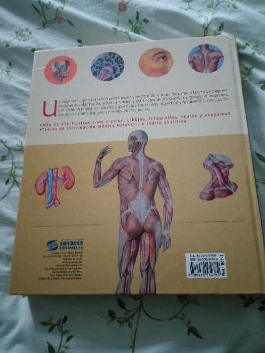 Imagen 2 del libro Atlas Ilustrado de Anatomia Anatomy Illustrated Atlas