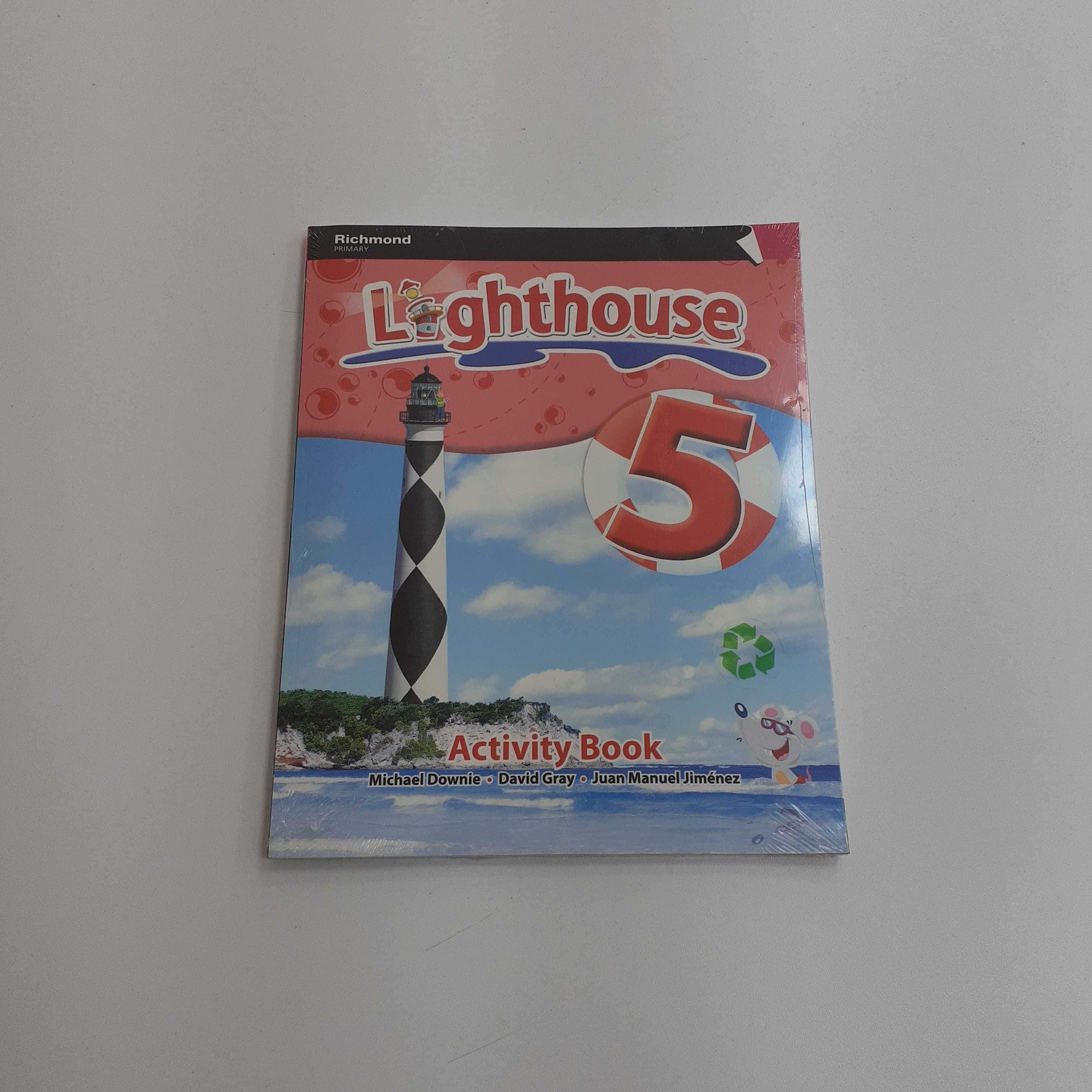 Libro de segunda mano: LIGHTHOUSE 5 ACTIVITY BOOK   GRAMMAR