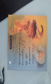 Los Diez Secretos de la Riqueza Abundante
