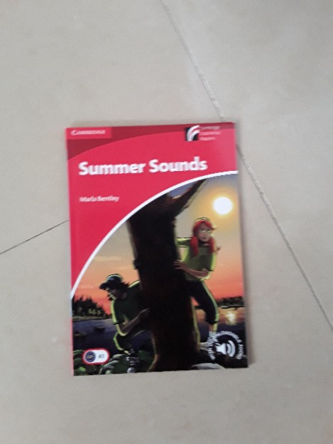 Libro de segunda mano: Summer sounds