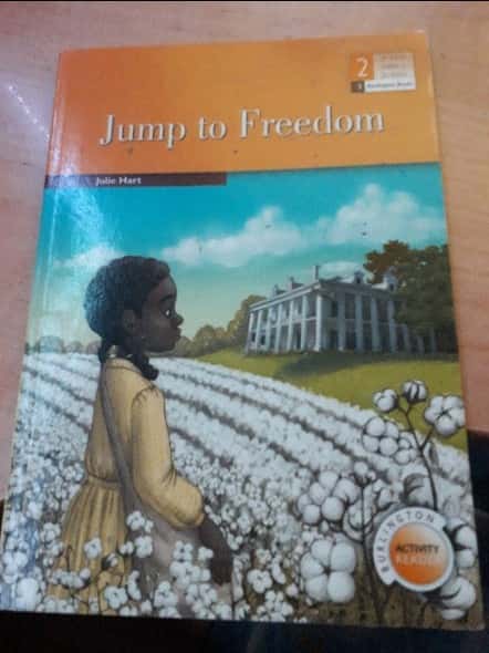 Libro de segunda mano: jump to freedom
