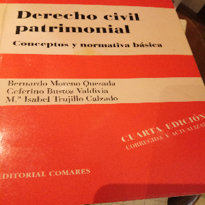 Libro de segunda mano: Derecho civil patrimonial