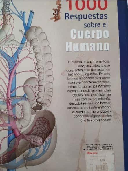 Imagen 2 del libro Respuestas sobre el cuerpo humano 