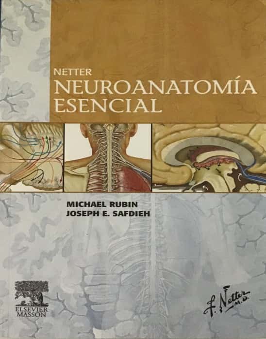 Libro de segunda mano: Netter. Neuroanatomía esencial