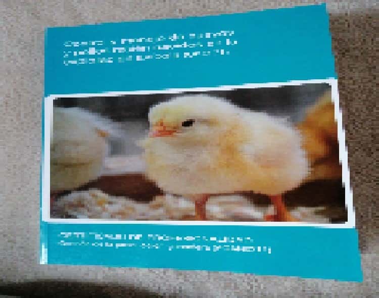 Libro de segunda mano: control y manejo de huevos y pollos recién nacidos en la explotación avícola