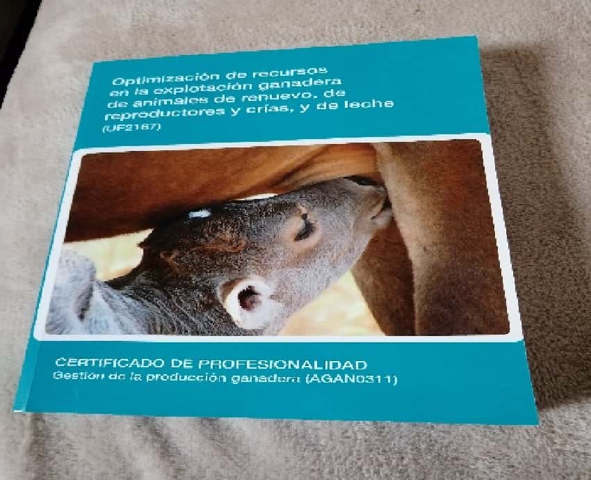 Libro de segunda mano: optimización de recursos en la explotación ganadera de animales de renuevo, de reproductores (..)
