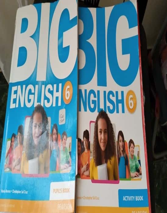 Libro de segunda mano: Big English 6 Activity Book