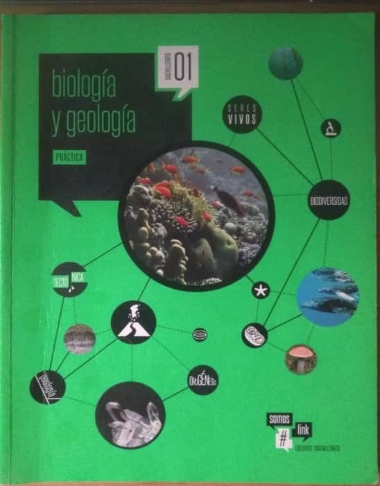Libro de segunda mano: Biología y geología ciencias Bachillerato 1