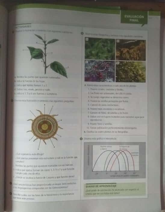 Imagen 2 del libro Biología y geología ciencias Bachillerato 1