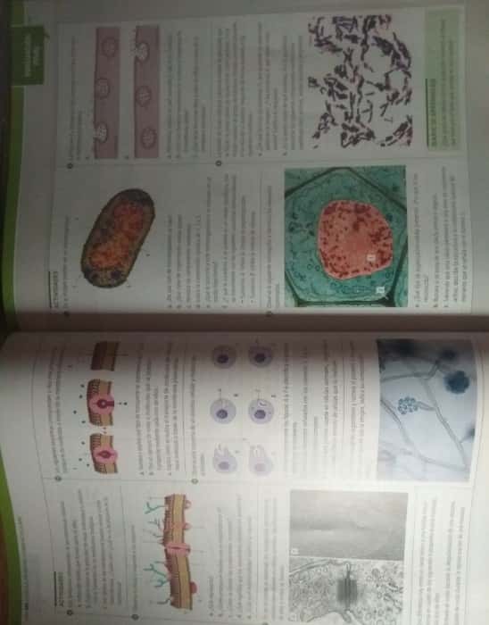 Imagen 2 del libro cuadernillo de Biología 2º bachillerato de prácticas