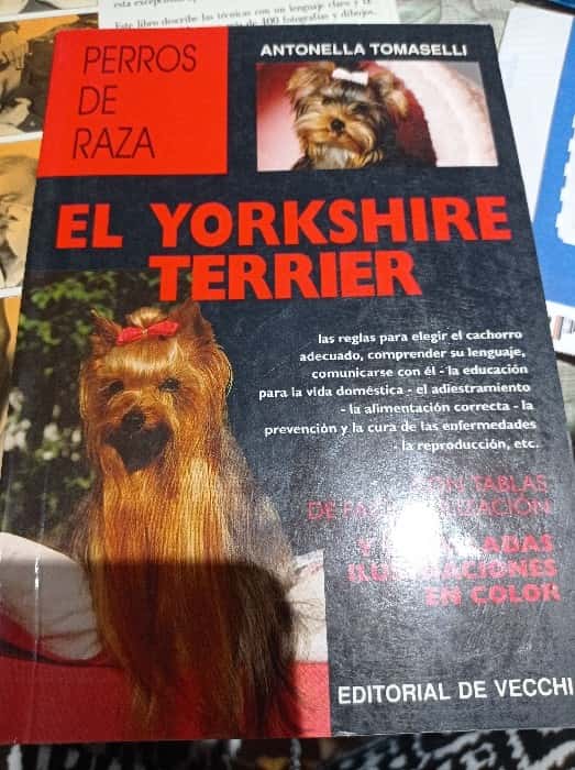 Libro de segunda mano: Yorkshire Terrier, El - Perros de Raza